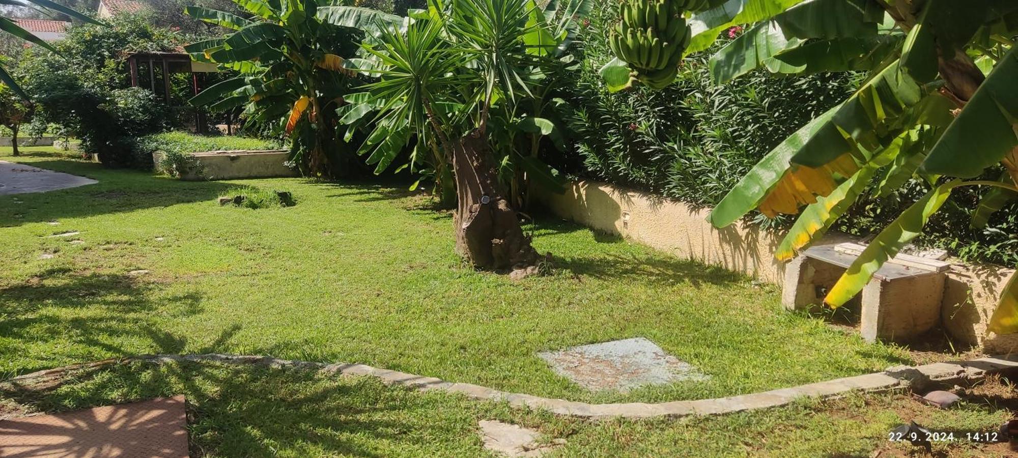 Pantheon Hall Hotel Mesongi Luaran gambar