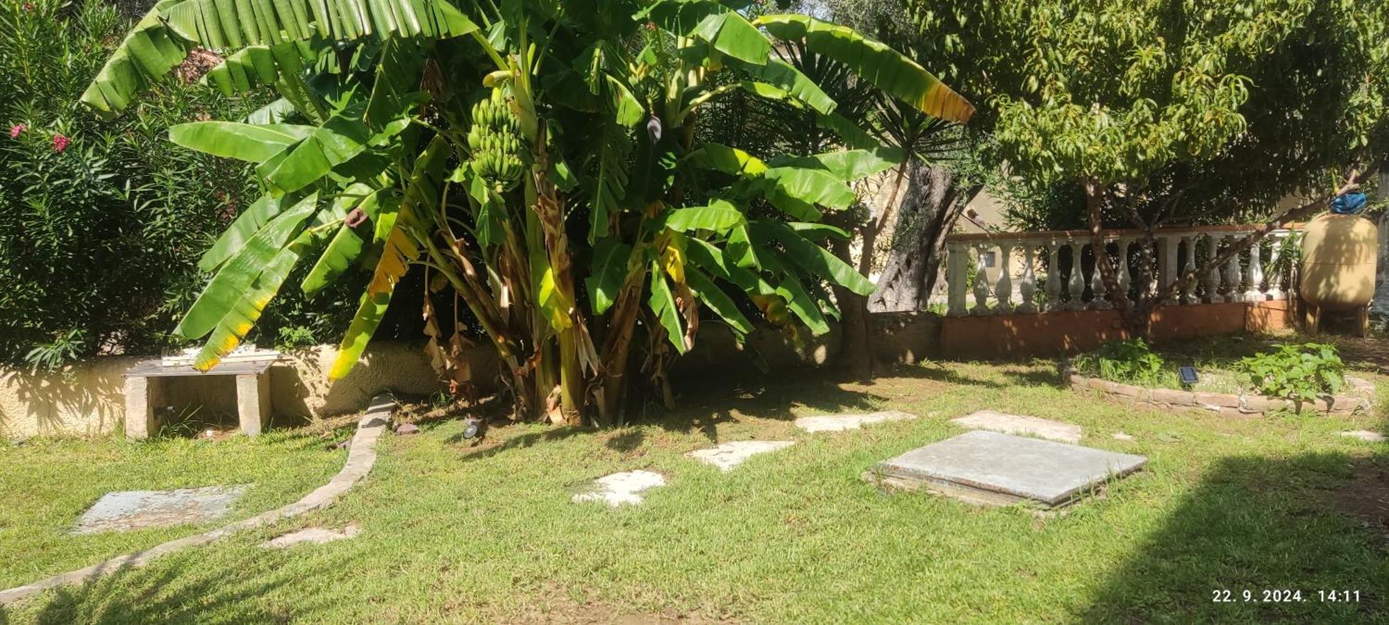 Pantheon Hall Hotel Mesongi Luaran gambar